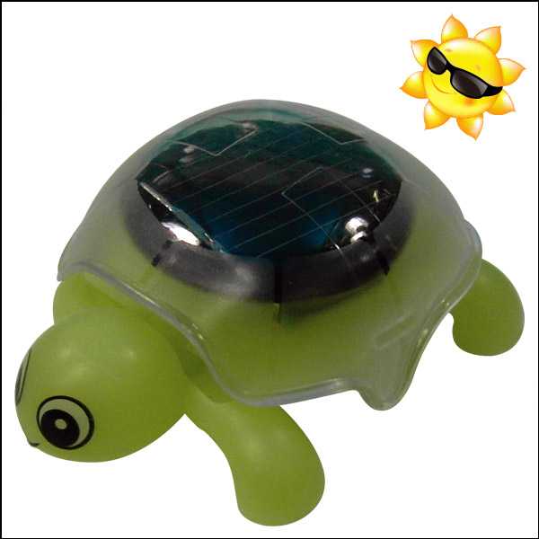 태양광 거북이