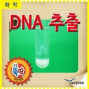 실험뚝딱 DNA추출 10인세트/미래