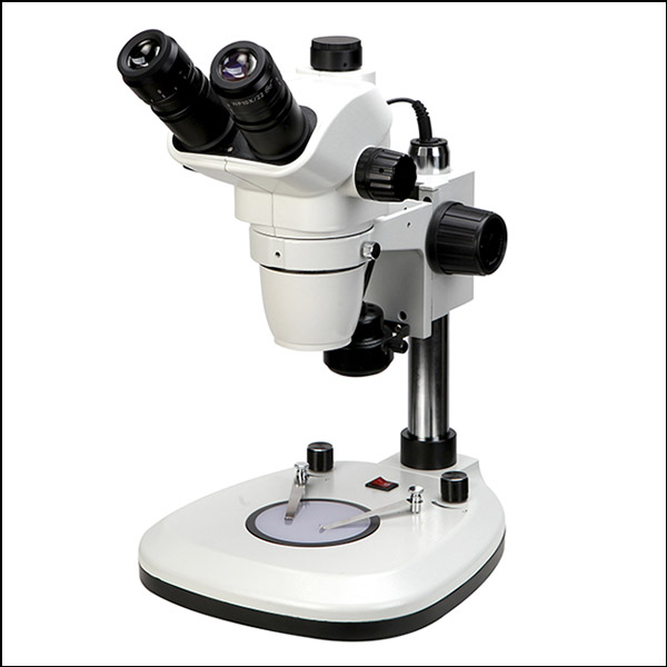 실체 줌 현미경(DSZM-T55)