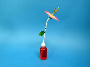 향기 나는 꽃 모형 만들기 5인